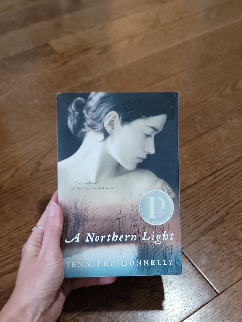 A Northern Light Decorative Book Cover Accent in Cream and Muted Blue — By Jenni